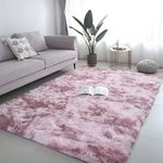 Vafodo Soft Area Rugs for Bedroom Living Room Ultra Soft Modern Fluffy Throw Carpets for Girls Boys Kids Room Shaggy Fluffy Rugs (2X3Feet, Pink Purple)