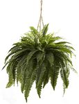 Nearly Natural 6788 Double Giant Boston Fern Hanging Basket,Green