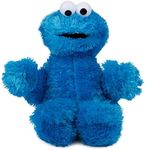 Sesame Street 75352 Cookie Monster 