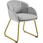 Yaheetech Velvet Tub Chair Vanity Chair, Modern Accent Armchair Lounge Chair Single Sofa with Golden Mental Legs for Living Room/Bedroom/Makeup, Grey