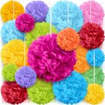 Tissue Paper Pom Poms - 20 Piece Set - Colorful Party Decorations - Paper Flowers for Birthdays and Special Occasions by Avoseta (Multicolor, Assorted Sizes)