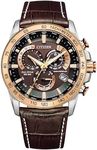 Citizen Eco-Drive Men's Perpetual Chrono A.T
