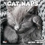 RED EMBER Cat Naps 2024 Hangable Mo