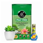 Cactus Succulent Plants Growing Bundle - Peat Free Cacti Bonsai Potting Compost 10L & Cactus Plant Feed Liquid Concentrated Fertiliser 175ml Houseplant Food Compost for Indoor Plants with Topline Card