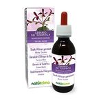 South African Geranium (Pelargonium sidoides) Roots Alcohol-Free Mother Tincture Naturalma - Liquid Extract Drops 120 ml - Food Supplement - Vegan