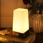 WRalwaysLX Retro LED Night Light for Home,Small Lamp with Wireless PIR LED Motion Sensor Indoor/Outdoor,Battery Operated Lamp for Bedroom,Hallway,Kitchen… (SQUARE-white light)