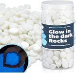 Graham Products Glow in The Dark Ro