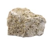 EISCO Raw Fossiliferous Limestone, Sedimentary Rock Specimen - Approx. 1" - Geologist Selected & Hand Processed - Great for Science Classrooms