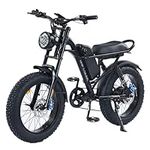 JOYWAY Electric Bike for Adults, 75