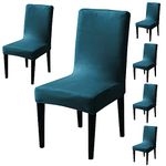 HOKIPO 200 GSM Premium Velvet Series Chair Covers Set of 6, Peacock Blue (AR-4735-PBLU*6)