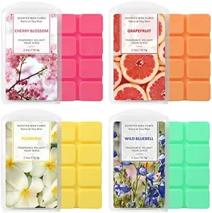 STRN Wax Melts Soy Long Lasting Scented Cubes 4 Pack for Warmer, Scented Wax Cubes for Making Candle, Grapefruit, Cherry Blossoms, Wild Bluebell, Plumeria (4x2.5 oz)