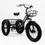 EMYJAY Tricycle for Adults, 3 Wheel