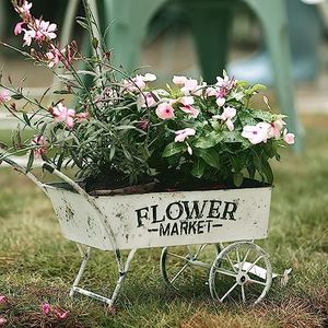 Z² BellaDecor Vintage Small Flower Cart Wagon Planter Metal Decorative Wheelbarrow Planters for Indoor and Outdoor Plants Garden Planter with Wheels Rustic Garden Decor (White, 6.5" D x 15.1" W)