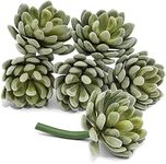 Juvale 6 Pack Artificial Succulents Picks, 5 inch Faux Unpotted Echeveria Fake Succulent Plants, Green