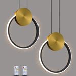Modern LED Pendant Light Fixtures,