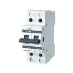 Anchor by Panasonic 98084 UNO Series 63 Ampere Dual Pole Change Over Switch Circuit Breaker Safe Reliable Protection