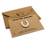 Good Luck horseshoe lucky keepsake token on printed card with matching envelope - YOU GOT THIS - GOOD LUCK!