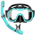 Snorkel Set Adult, Dry-Top Design Anti-Fog Scuba Diving Mask,180°Panoramic Wide Professional Snorkeling Equipment, Swimming Training Equipment for Men Women