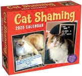 Cat Shaming 2025 Day-To-Day Calendar