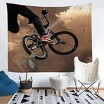 Loussiesd Bicycle Rider Wall Hangin