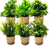 Dekorly 6 Packs Fake Plants Small, Mini Artificial Plants Indoor For Home Farmhouse Bathroom Shelf Décor (Height : 17Cm, Chocolate) - Plastic