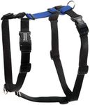 Blue-9 Balance Harness Buckle Neck,