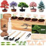 Bonsai Tree Seed Starter Kit, Complete Indoor Garden Growing Set, Unique Gardening Gifts for Women and Men, DIY Plant Lover Hobby Kit, Home Decor Miniature Trees Craft