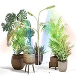 Diivoo Grow Lights for Indoor Plants, 4 Heads Full Spectrum Plant Light with 360 Spin Gooseneck and Height Adjustable Grow Light, Auto On/Off Timer 4/8/12H, 10 Adjustable Brightness Levels