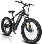 HAOQI Leopard Pro Electric Bike for