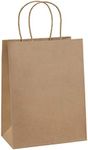 BagDream Gift Bags 8x4.25x10.5 100P