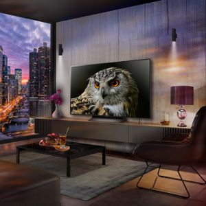 LG 55" OLED 4K Smart TV – Ultra HD HDR, ThinQ AI