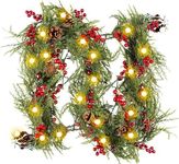 Ninonly Christmas Garland with 20 L