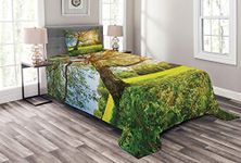 ABAKUHAUS Tree Bedspread Set, Foliage with Morning Sunbeams, Decorative Quilted 2 Piece Coverlet Set with Pillow Sham, Lime Green Umber