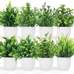 Dekorly Artificial Potted Plants, 8 Pack Artificial Plastic Eucalyptus Plants Small Indoor Potted Houseplants, Small Faux Plants for Home Decor Bathroom Office Farmhouse (Multi-M)