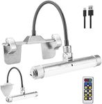 HONWELL LED Picture Light with Remo