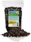 GARDENERA Palm Tree Potting Mix - The Ultimate Soil for Strong and Healthy Palms - Top Choice for Palm Tree Growers [4 Quart Bag]