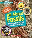All About Fossils: Discovering Dino