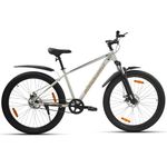 ROADGIANT Squad BG-24- Dull White-Single Speed-Steel