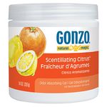 Gonzo Natural Magic Air Purifying Gel, Odor Eliminator for Cars, Closets, Bathrooms and Pet Areas, Captures and Absorbs Ordors - 14 Ounce - 12 Pack - Scentillating Citrus