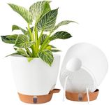 2 Pack 8 Inch Pots for Plants Indoo