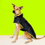 That Dog In Tuxedo Colour Pop Puffer Dog Winter Jacket for Pets/Reversible Dog Jacket - Black/Neon (28)