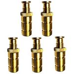 Pool Cover Anchors Concrete and Pavers Deck - Universal Size Fits 3/4" Hole - Best for Pool Safety Cover Installation - Durable Brass Pool Cover Anchors and Head Screw Bolts (5 Pack)