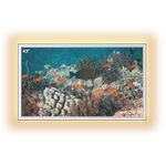 Soulaca 43inch Bathroom Mirror TV with LED Light, 4K Ultra HD Modern Vanity Mirror Smart TV, Built-in Netflix/Youtube (webOS TV System)