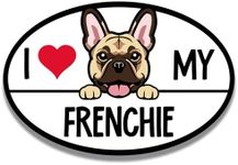 Magnet Me Up I Love My Frenchi Retriever Magnetic Car Decal, 4x6 Inches Oval, Dog Lover Gift for French BullDog Breed Enthusiasts, Family Dog, for Car, Fridge, and any Magnetic Surface, Crafted in USA