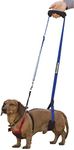 GingerLead Dog Sling Hip Support Ha