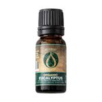 Ecodrop Pure Eucalyptus Essential Oil - 10ml Bottle | 100% Natural Therapeutic Grade Eucalyptus Globulus Oil | Aromatherapy Massage, Diffuser & Bath Oil for Mood, Immunity & Pain Relief | Organic