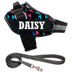 KIKA Pets Personalized Dog Harness with Leash Padded | Dog Harness with Name | Customized Dog Vest Harness, Medium Size (for 13-20 kgs)