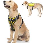 Fida Dog Harness No Pull with Handle, Heavy Duty Dog Pack Hound Dog Saddle Bag Backpack for Travel Camping Hiking Large Dog with 2 Hidden Side Pockets (L, Yellow)