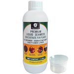 OrganicDews Liquid Seaweed Concentrate for Plants (1 Litre) with Measuring Cup 25 ml Fertilizer for All Indoor and Outdoor Plants 1 Litre