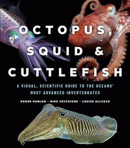 Octopus, S